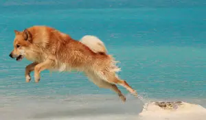 7543602860_c741e700c0_b 7543602860 c741e700c0 b