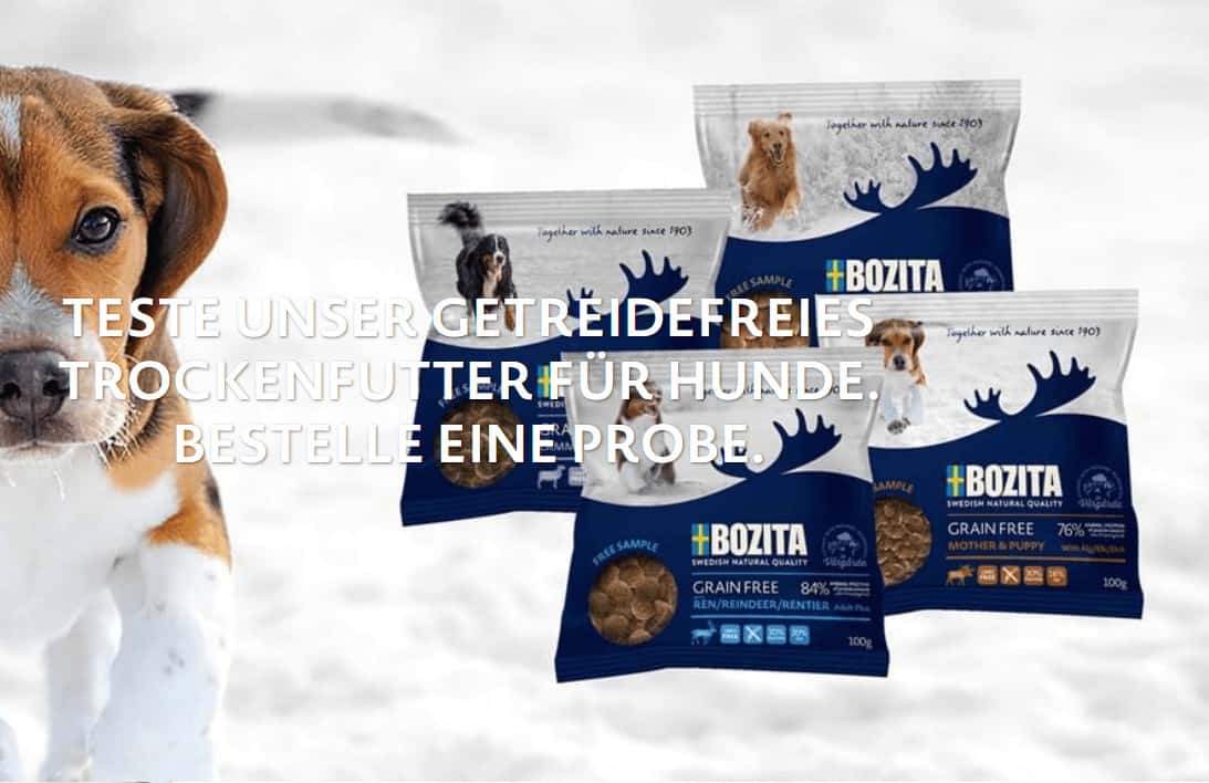 Bozita