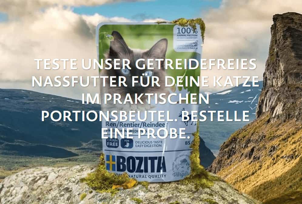 bozitakatzenfutter