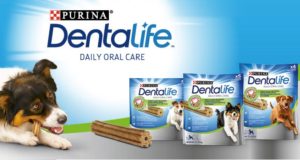 dentalife