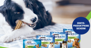 dentalife
