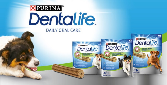 dentalife