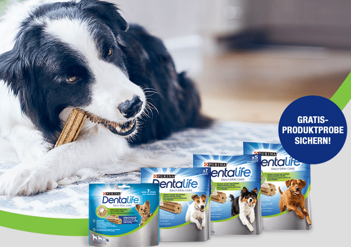 dentalife