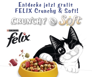 felix gratisfutterprobe