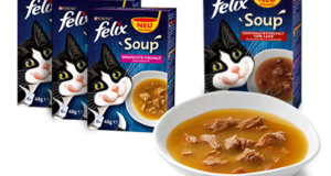fsoup
