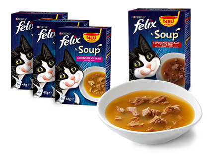 fsoup