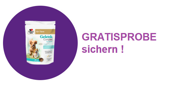 gelenk