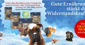 hundefutter