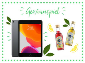 martinigewinnspiel