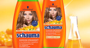 schauma produkktest