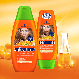 schauma produkktest