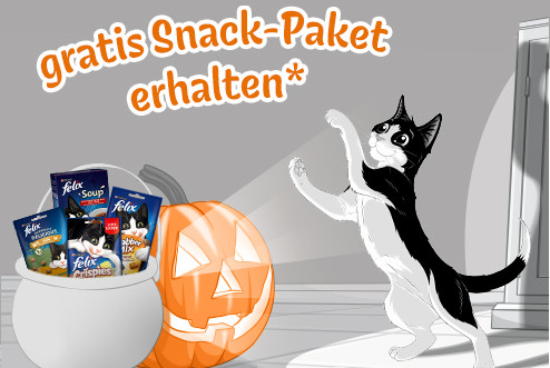 snackpaket