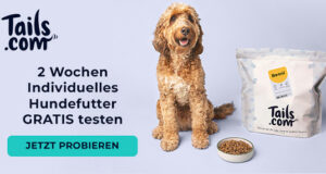 tailshundefutter