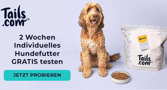 tailshundefutter