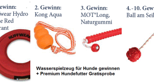 wasserspielzeug