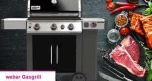 Weber Gasgrill