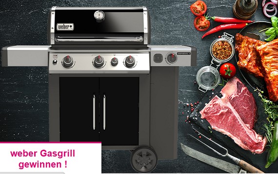Weber Gasgrill