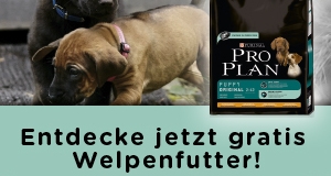 welpenfutter