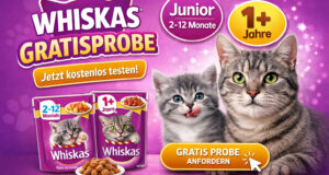 Gratis Katzenfutterprobe sichern