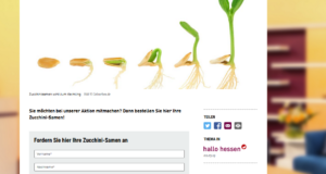 zucchini